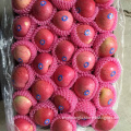 fresh qinguan apples red qinguan apple chinese apple china apple factory